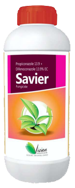 Savier