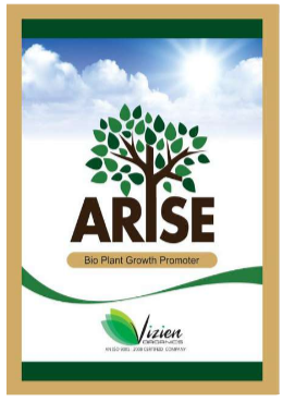 ARISE